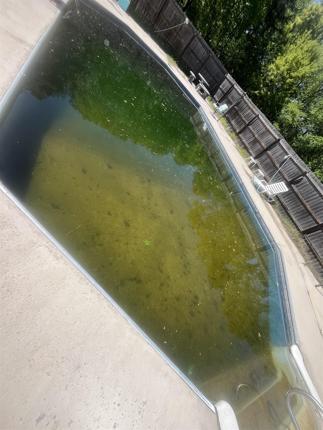 Green pool before opening service