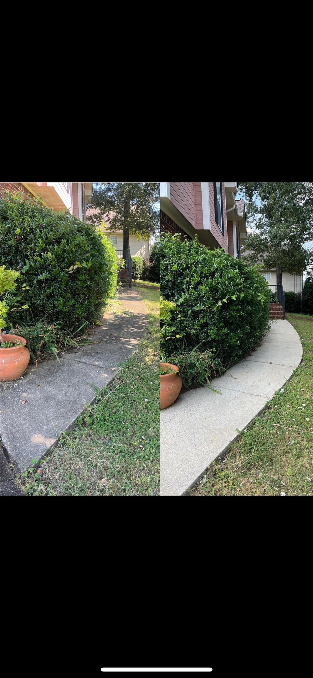 Sidewalk before and after pressure washing